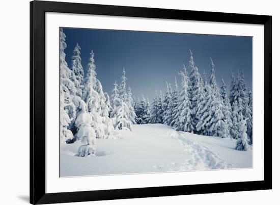 Winter Landscape-Kotenko-Framed Photographic Print