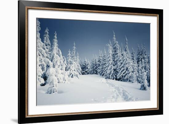 Winter Landscape-Kotenko-Framed Photographic Print