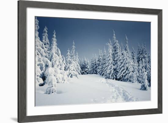 Winter Landscape-Kotenko-Framed Photographic Print