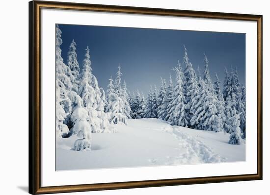 Winter Landscape-Kotenko-Framed Photographic Print