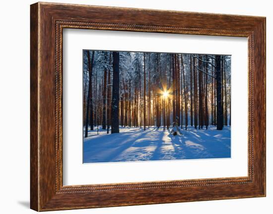 Winter Landscape-Yanika-Framed Photographic Print