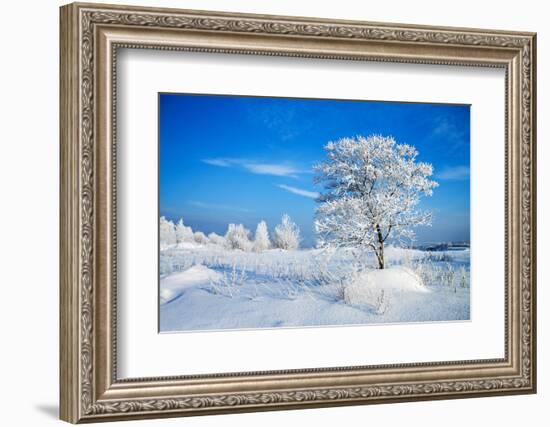 Winter Landscape-Yanika-Framed Photographic Print