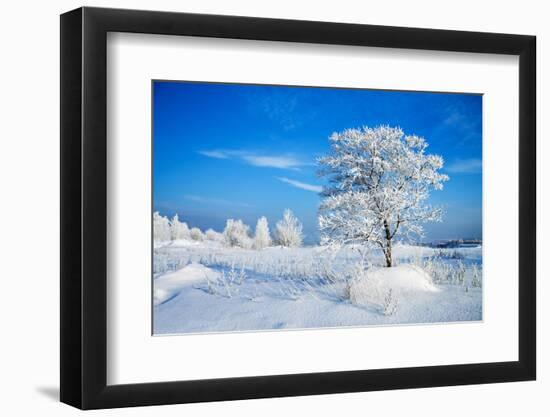 Winter Landscape-Yanika-Framed Photographic Print