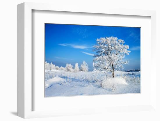 Winter Landscape-Yanika-Framed Photographic Print