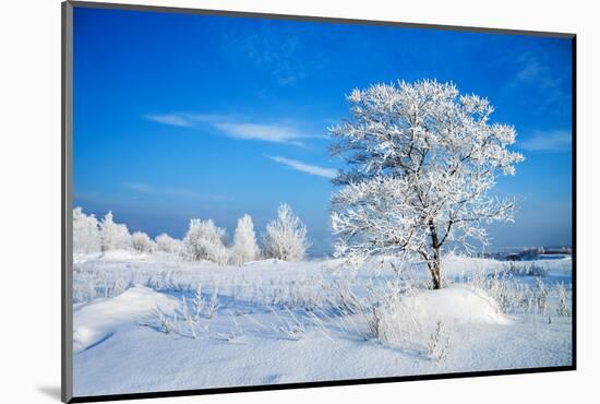 Winter Landscape-Yanika-Mounted Photographic Print