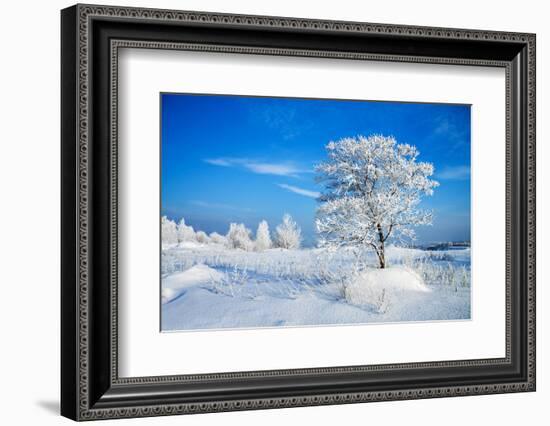 Winter Landscape-Yanika-Framed Photographic Print