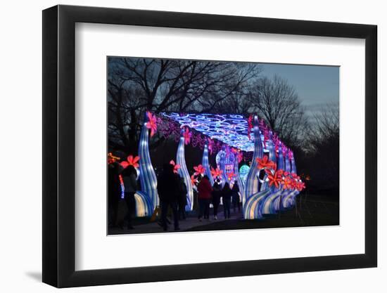 Winter Lantern Festival, Floral Passage, 2018-Anthony Butera-Framed Photographic Print