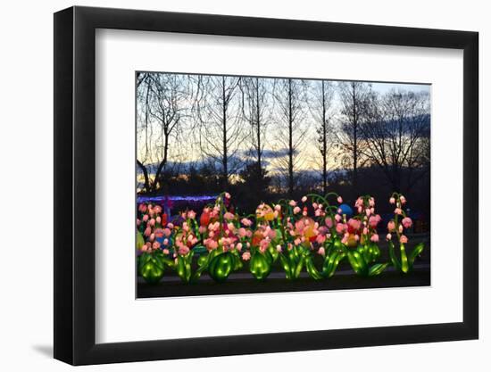 Winter Lantern Festival, Flowers, 2018-Anthony Butera-Framed Photographic Print