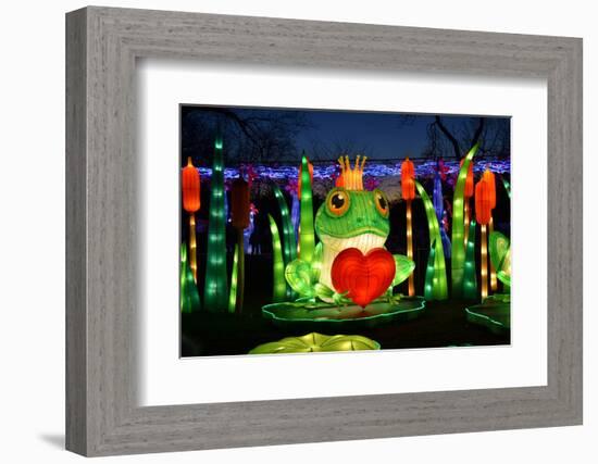 Winter Lantern Festival, Frog and Heart, 2018-Anthony Butera-Framed Photographic Print