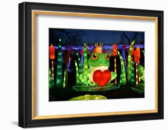 Winter Lantern Festival, Frog and Heart, 2018-Anthony Butera-Framed Photographic Print