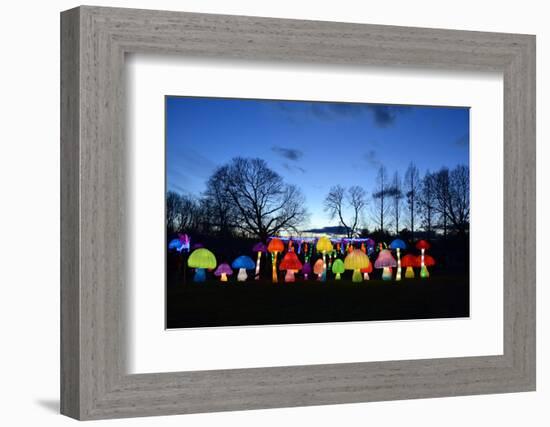 Winter Lantern Festival, Mushrooms, 2018-Anthony Butera-Framed Photographic Print