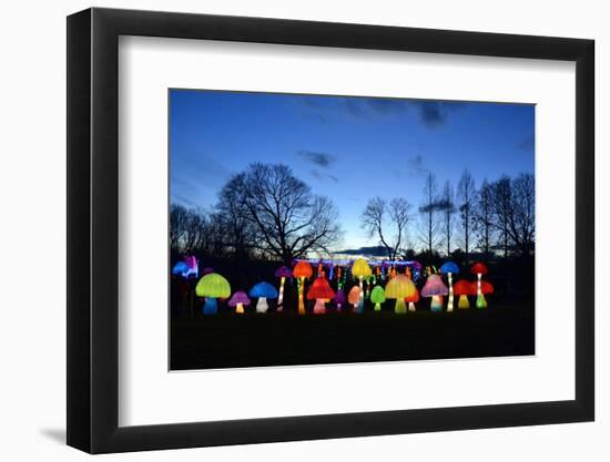 Winter Lantern Festival, Mushrooms, 2018-Anthony Butera-Framed Photographic Print