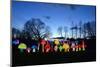 Winter Lantern Festival, Mushrooms, 2018-Anthony Butera-Mounted Photographic Print