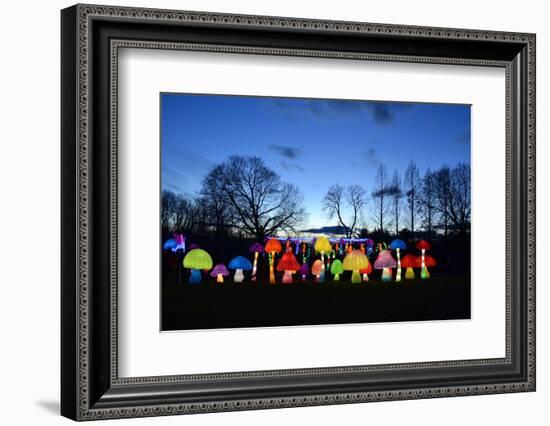 Winter Lantern Festival, Mushrooms, 2018-Anthony Butera-Framed Photographic Print