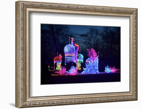 Winter Lantern Festival, Princess, 2018-Anthony Butera-Framed Photographic Print