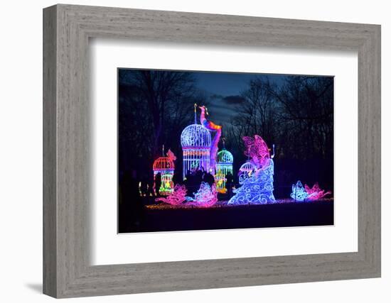 Winter Lantern Festival, Princess, 2018-Anthony Butera-Framed Photographic Print