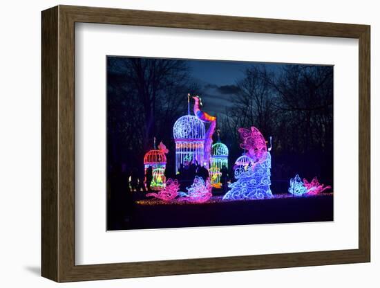 Winter Lantern Festival, Princess, 2018-Anthony Butera-Framed Photographic Print