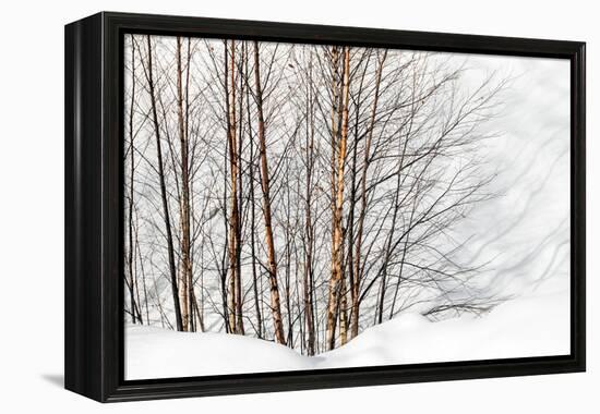 Winter Light and Shadows-Ursula Abresch-Framed Premier Image Canvas