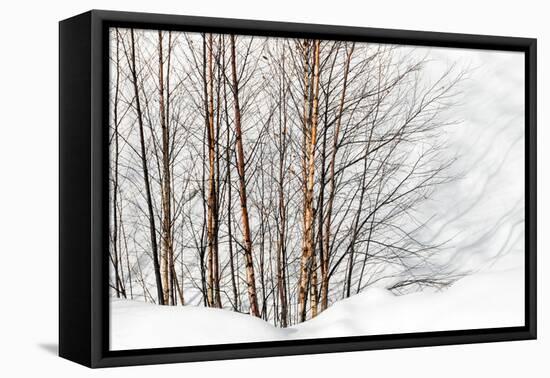 Winter Light and Shadows-Ursula Abresch-Framed Premier Image Canvas