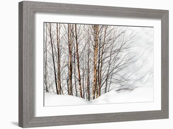 Winter Light and Shadows-Ursula Abresch-Framed Photographic Print