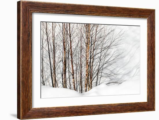 Winter Light and Shadows-Ursula Abresch-Framed Photographic Print