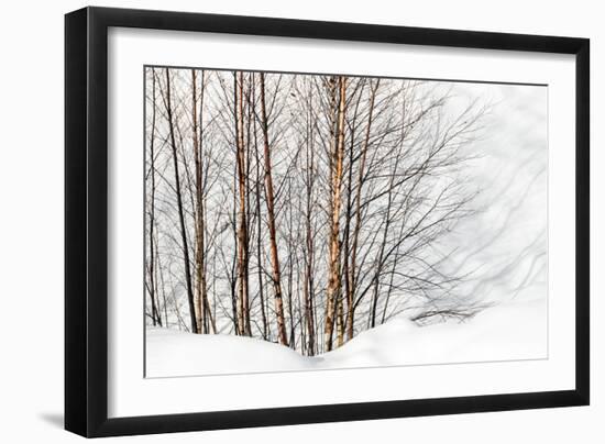 Winter Light and Shadows-Ursula Abresch-Framed Photographic Print