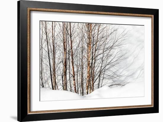 Winter Light and Shadows-Ursula Abresch-Framed Photographic Print