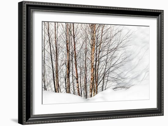 Winter Light and Shadows-Ursula Abresch-Framed Photographic Print