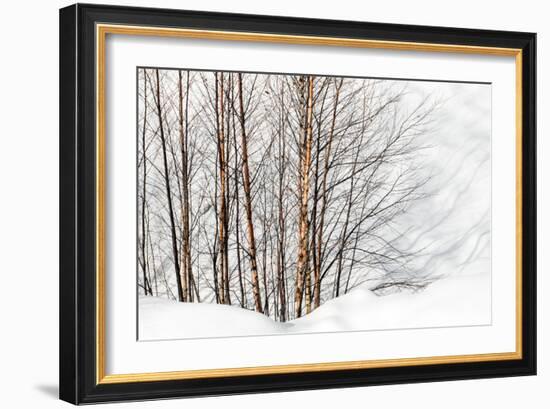 Winter Light and Shadows-Ursula Abresch-Framed Photographic Print