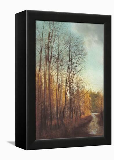 Winter Light I-Amy Melious-Framed Stretched Canvas