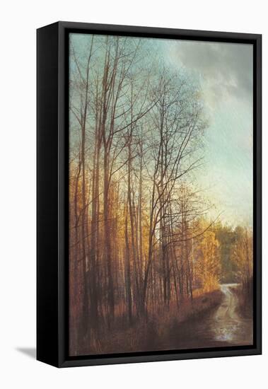 Winter Light I-Amy Melious-Framed Stretched Canvas