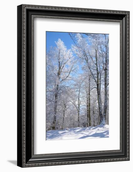 Winter Line-Philippe Sainte-Laudy-Framed Photographic Print