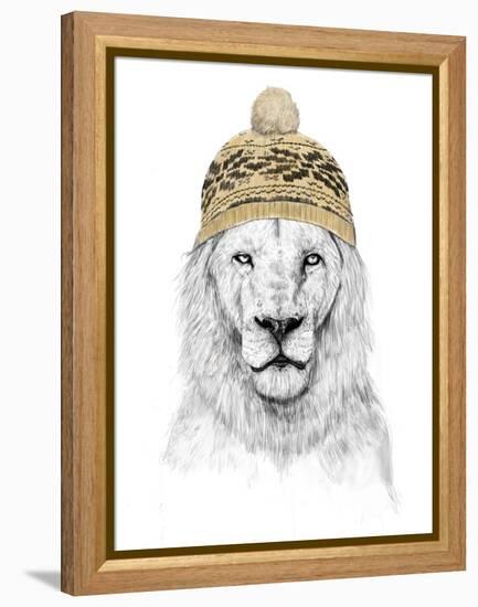 Winter Lion-Balazs Solti-Framed Premier Image Canvas