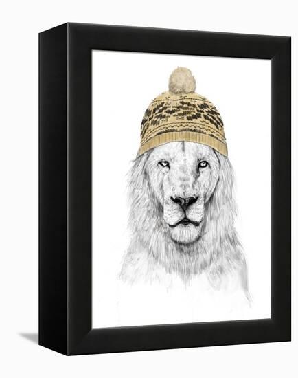 Winter Lion-Balazs Solti-Framed Premier Image Canvas