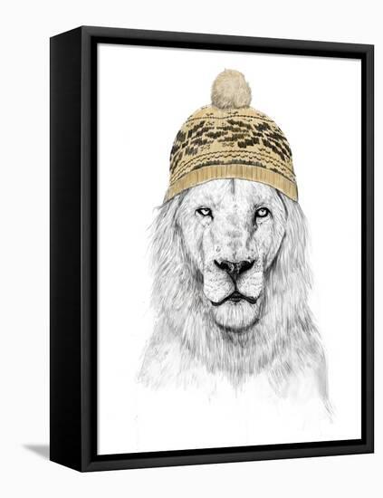 Winter Lion-Balazs Solti-Framed Premier Image Canvas