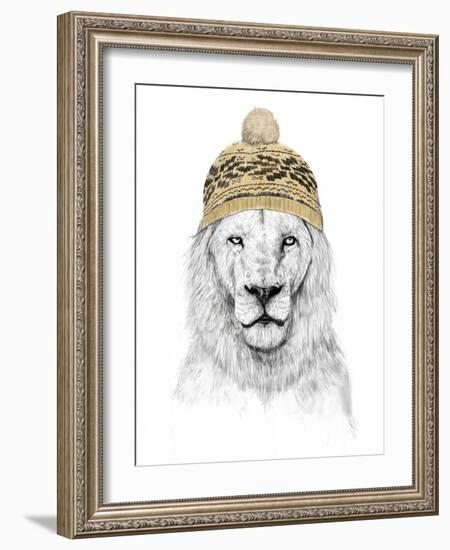 Winter Lion-Balazs Solti-Framed Photographic Print