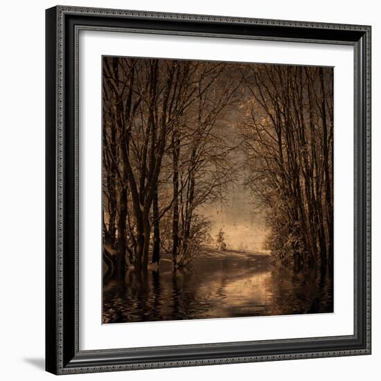 Winter Memory 2-Philippe Sainte-Laudy-Framed Photographic Print