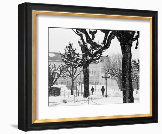 Winter, Mirabellgarten, Salzburg, Austria-Walter Bibikow-Framed Photographic Print