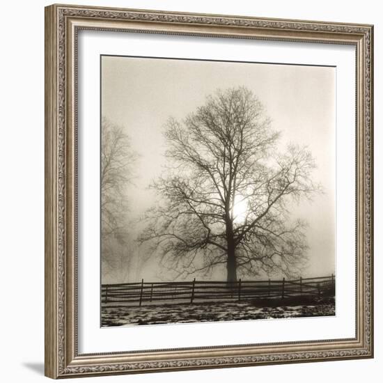 Winter Mist-Michael Kahn-Framed Giclee Print