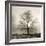 Winter Mist-Michael Kahn-Framed Giclee Print