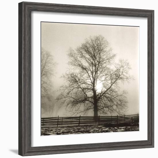 Winter Mist-Michael Kahn-Framed Giclee Print