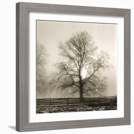 Winter Mist-Michael Kahn-Framed Giclee Print