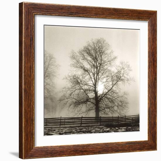 Winter Mist-Michael Kahn-Framed Giclee Print