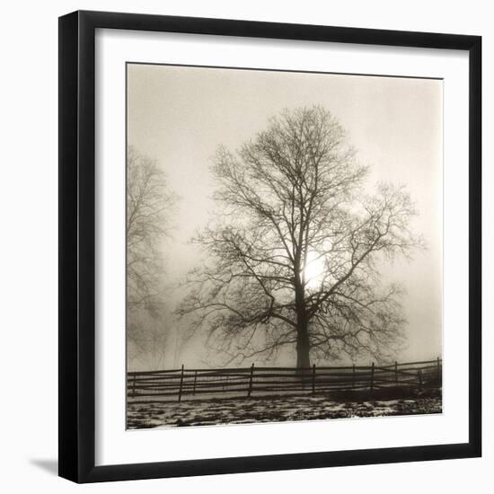 Winter Mist-Michael Kahn-Framed Giclee Print