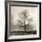 Winter Mist-Michael Kahn-Framed Giclee Print