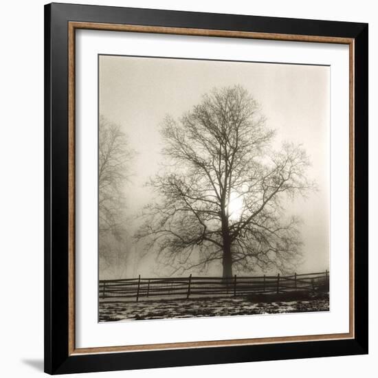 Winter Mist-Michael Kahn-Framed Giclee Print