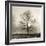 Winter Mist-Michael Kahn-Framed Giclee Print