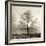 Winter Mist-Michael Kahn-Framed Giclee Print