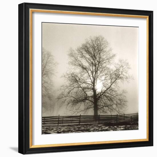 Winter Mist-Michael Kahn-Framed Giclee Print