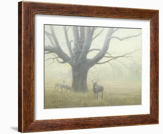 Winter Mist-Michael Budden-Framed Giclee Print